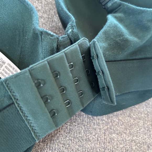 🔸NWOT Evergreen Tee Shirt, Push Up Full Coverage Bra With Rhinestones - Picture 3 of 9